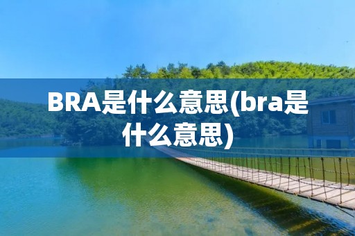 BRA是什么意思(bra是什么意思)