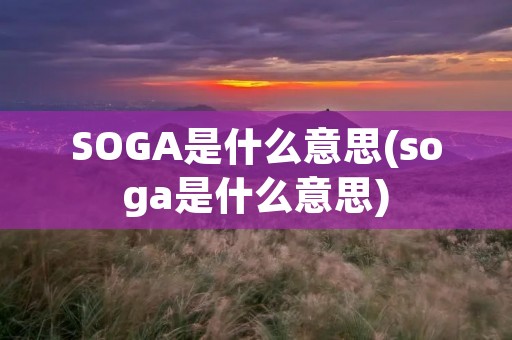 SOGA是什么意思(soga是什么意思)
