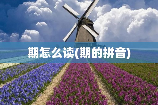 期怎么读(期的拼音)