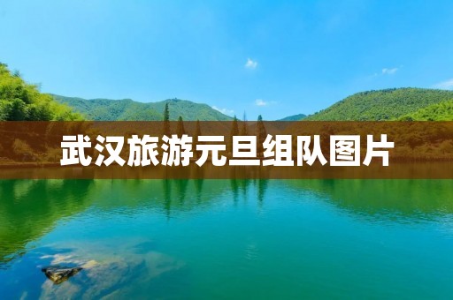 武汉旅游元旦组队图片