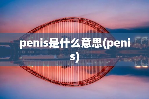 penis是什么意思(penis)