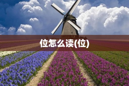位怎么读(位)