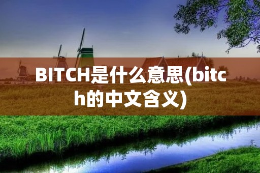 BITCH是什么意思(bitch的中文含义)