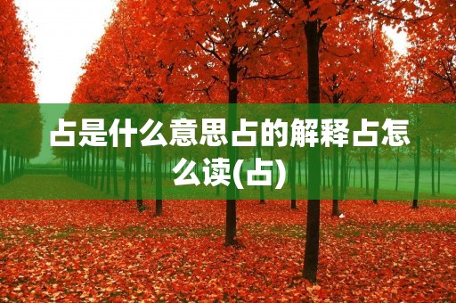 占是什么意思占的解释占怎么读(占)