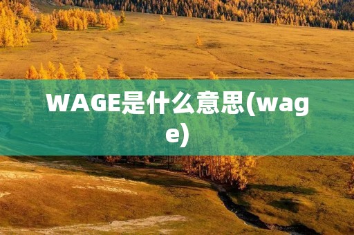 WAGE是什么意思(wage)