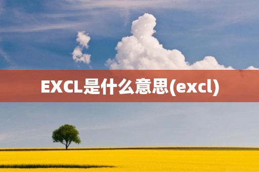 EXCL是什么意思(excl)