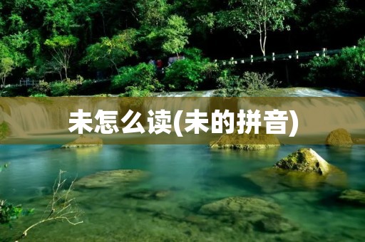 未怎么读(未的拼音)