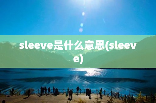 sleeve是什么意思(sleeve)