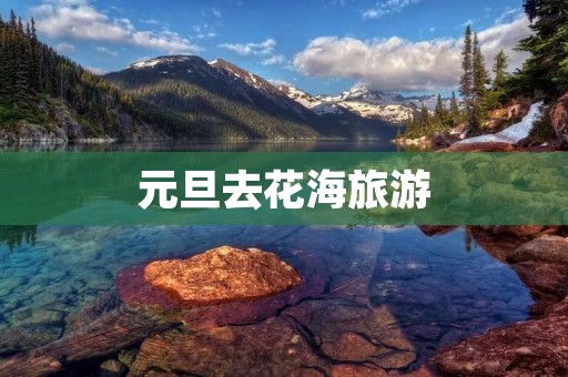 元旦去花海旅游