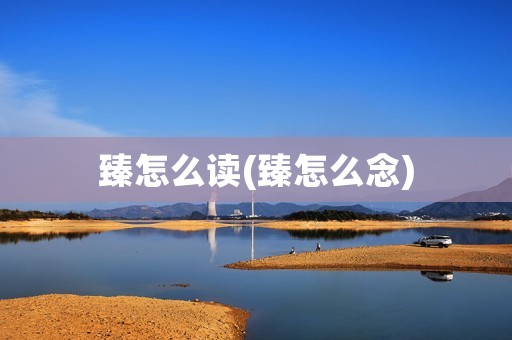 臻怎么读(臻怎么念)