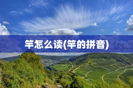 竿怎么读(竿的拼音)