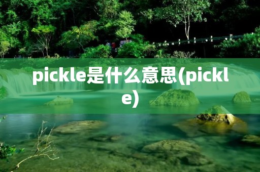 pickle是什么意思(pickle)