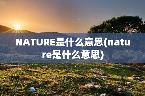 NATURE是什么意思(nature是什么意思)