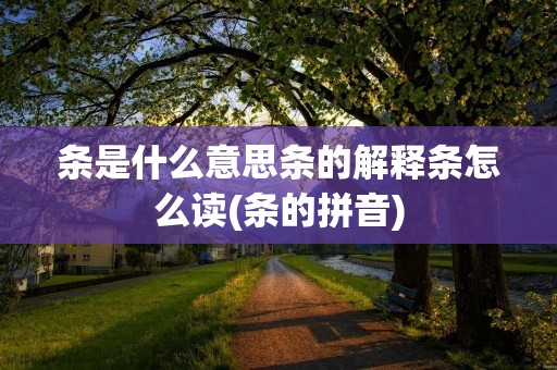 条是什么意思条的解释条怎么读(条的拼音)