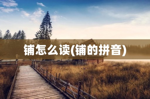 铺怎么读(铺的拼音)