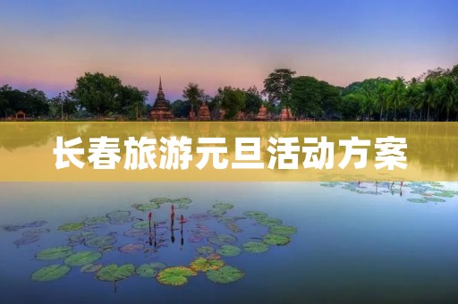 长春旅游元旦活动方案