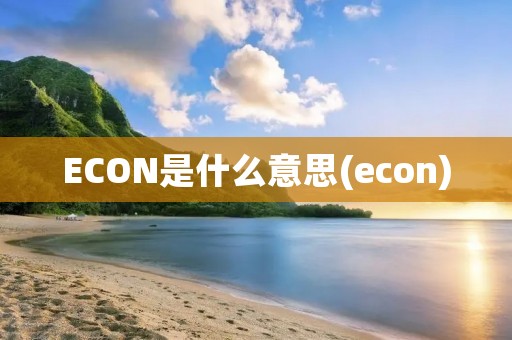 ECON是什么意思(econ)
