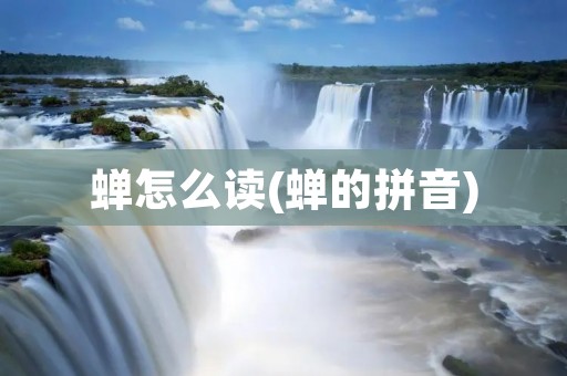 蝉怎么读(蝉的拼音)