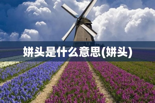 姘头是什么意思(姘头)