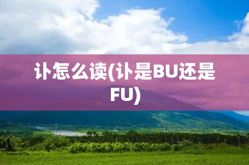 讣怎么读(讣是BU还是FU)