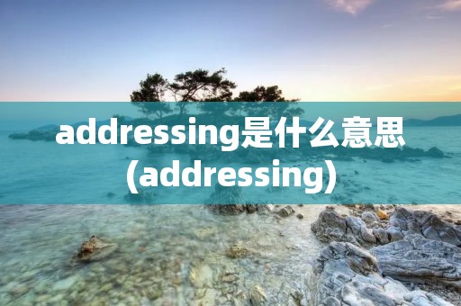 addressing是什么意思(addressing)