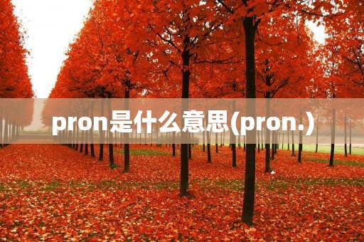 pron是什么意思(pron.)