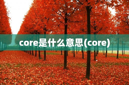 core是什么意思(core)