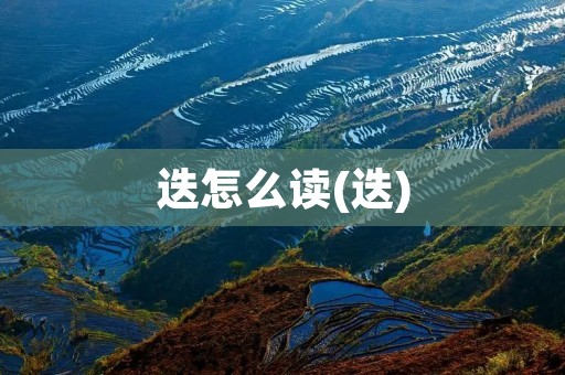 迭怎么读(迭)