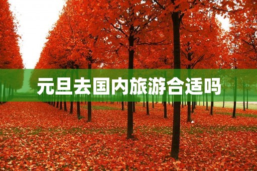 元旦去国内旅游合适吗