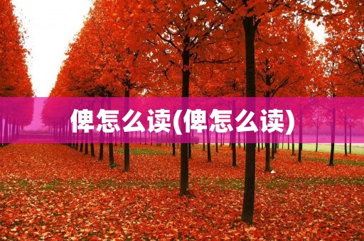 俾怎么读(俾怎么读)