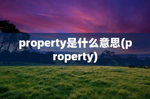 property是什么意思(property)