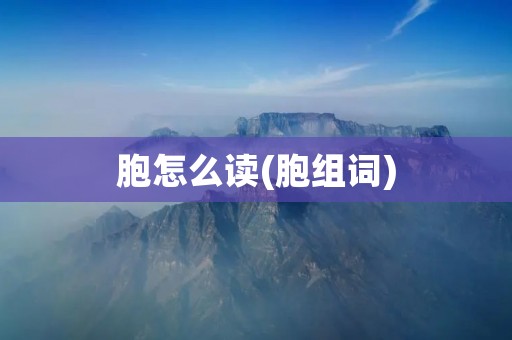 胞怎么读(胞组词)