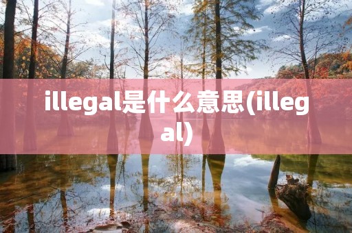 illegal是什么意思(illegal)