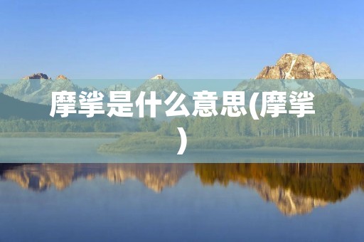 摩挲是什么意思(摩挲)