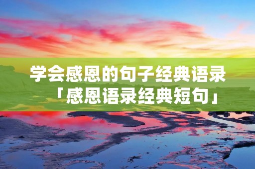 学会感恩的句子经典语录「感恩语录经典短句」