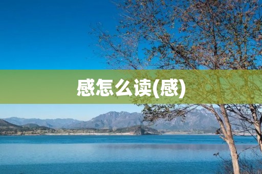 感怎么读(感)