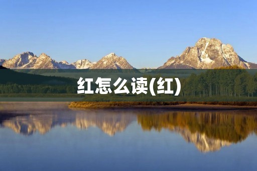 红怎么读(红)