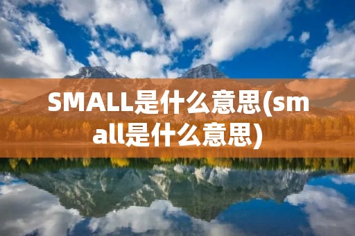 SMALL是什么意思(small是什么意思)