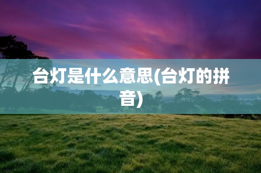 台灯是什么意思(台灯的拼音) 台灯是什么意思(台灯的拼音)
