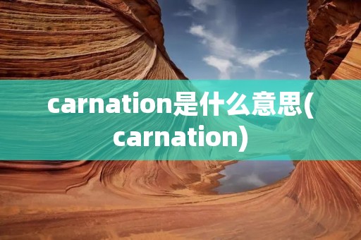 carnation是什么意思(carnation) carnation是什么意思(carnation)