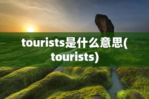 tourists是什么意思(tourists)