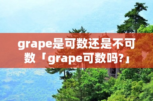 grape是可数还是不可数「grape可数吗?」