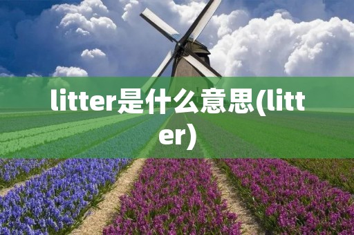 litter是什么意思(litter)