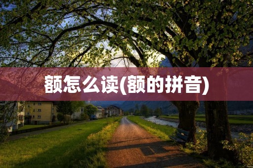 额怎么读(额的拼音)