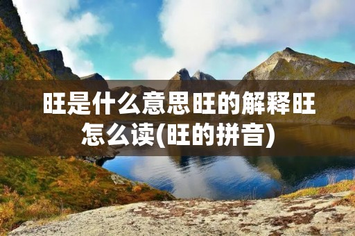 旺是什么意思旺的解释旺怎么读(旺的拼音)