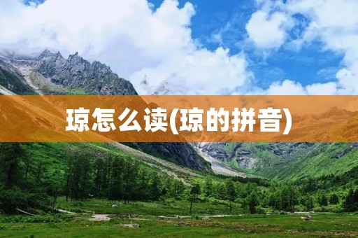 琼怎么读(琼的拼音)