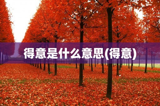 得意是什么意思(得意)