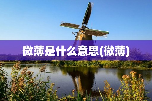 微薄是什么意思(微薄)