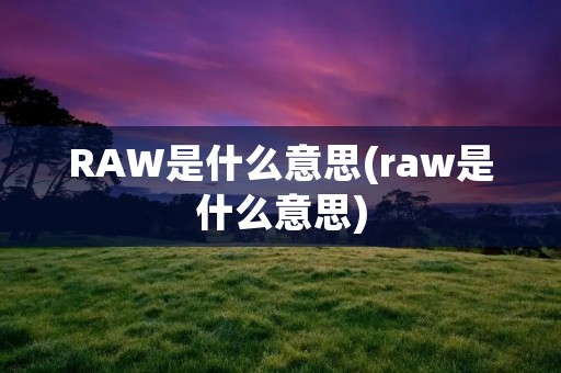 RAW是什么意思(raw是什么意思)