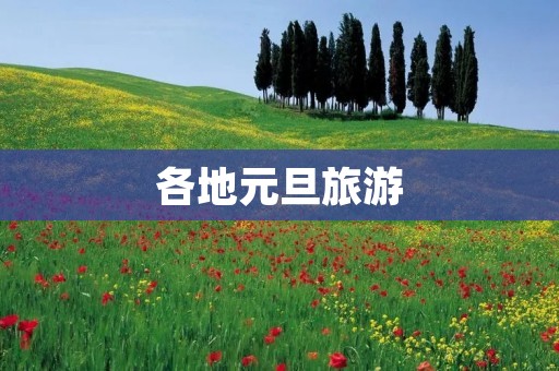 各地元旦旅游
